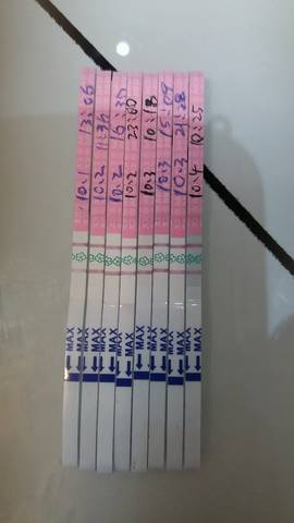 journal_insert_pic_853097845