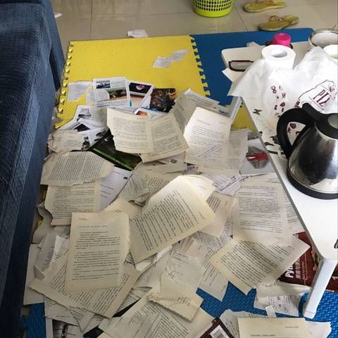 journal_insert_pic_853147317