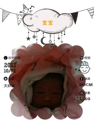 journal_insert_pic_854295582