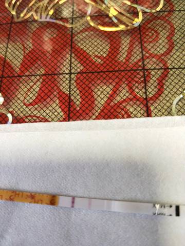 journal_insert_pic_854895925