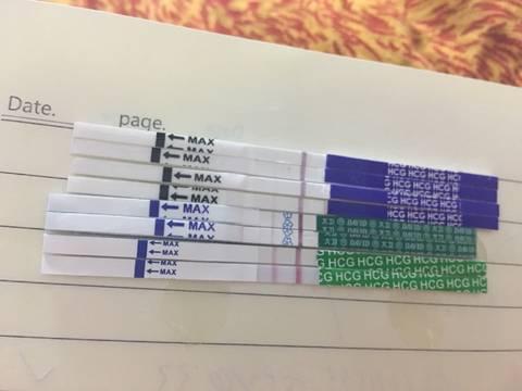 journal_insert_pic_854621617