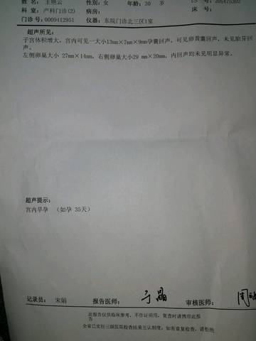 journal_insert_pic_856495510