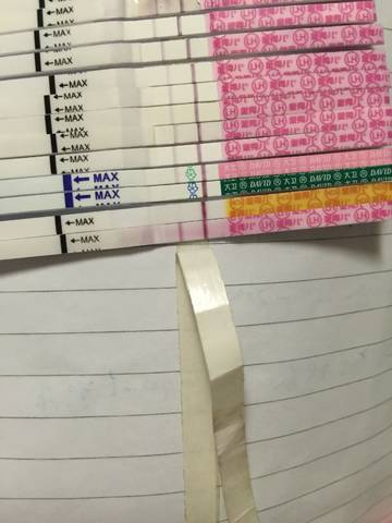 journal_insert_pic_857122761