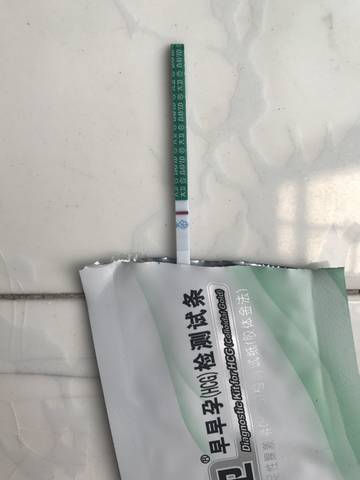 journal_insert_pic_856448021
