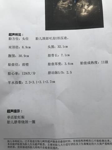 journal_insert_pic_857822229
