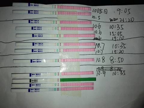 journal_insert_pic_857943367