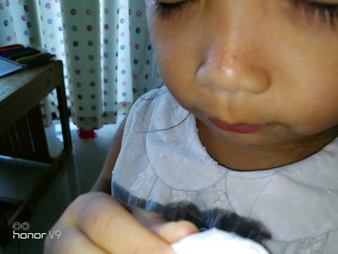 journal_insert_pic_858720353