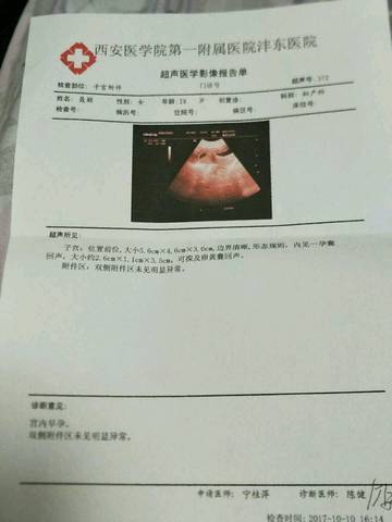 journal_insert_pic_858942909