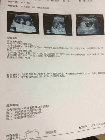 journal_insert_pic_859557879
