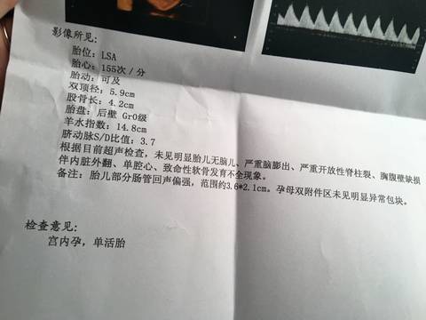 journal_insert_pic_860078552