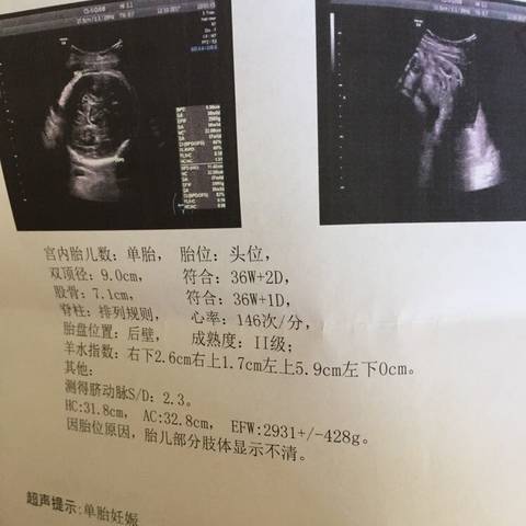 journal_insert_pic_860209029