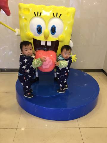 journal_insert_pic_861557322