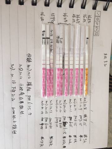 journal_insert_pic_861517305