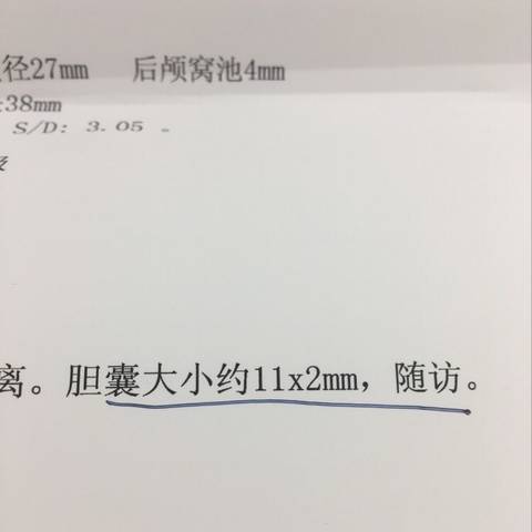 journal_insert_pic_862595524