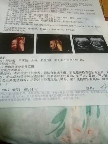 journal_insert_pic_863352196
