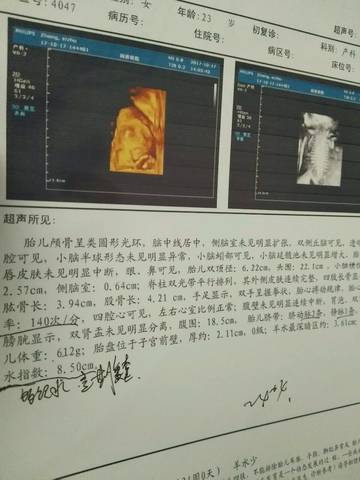 journal_insert_pic_864053163