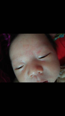 journal_insert_pic_865276893