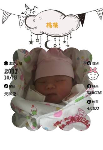 journal_insert_pic_866165868