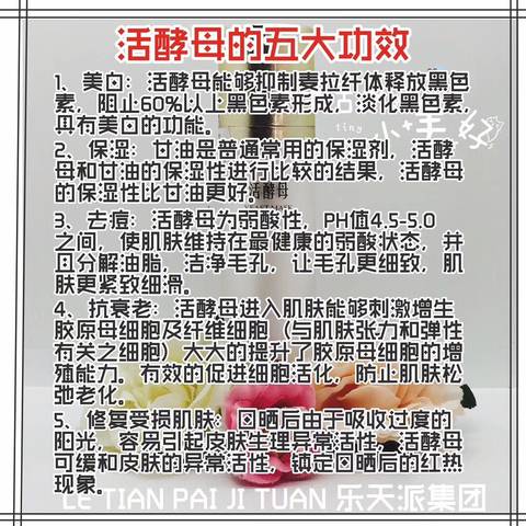 journal_insert_pic_866126457