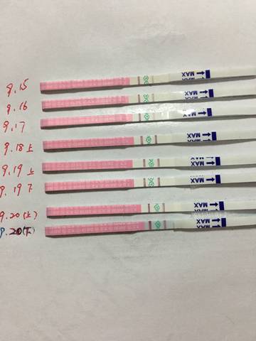 journal_insert_pic_866172096