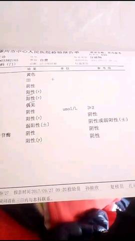 journal_insert_pic_867038347