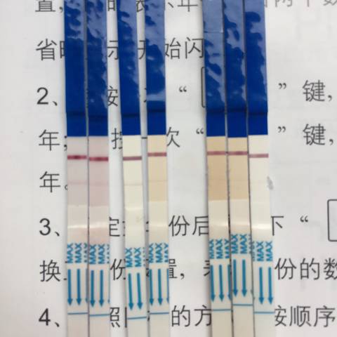 journal_insert_pic_866541094