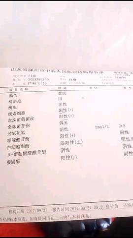 journal_insert_pic_867038327