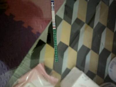 journal_insert_pic_866500143