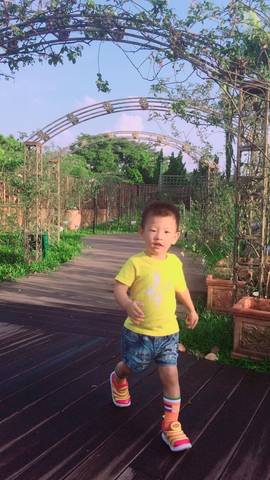journal_insert_pic_867488059