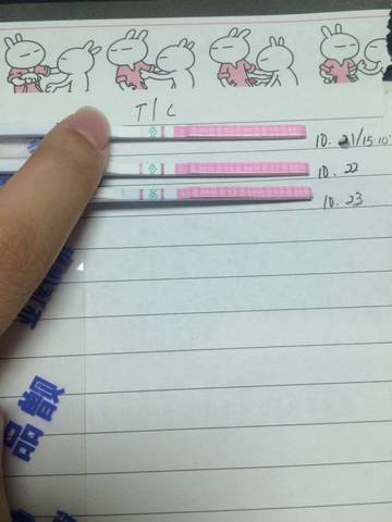 journal_insert_pic_868378222