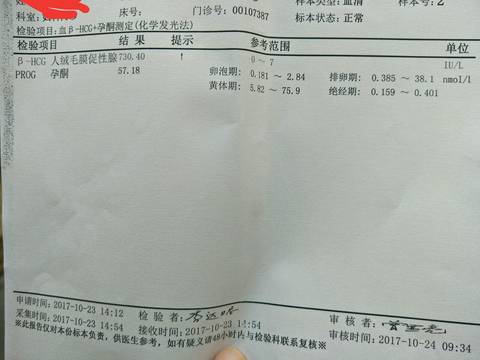 journal_insert_pic_869066810