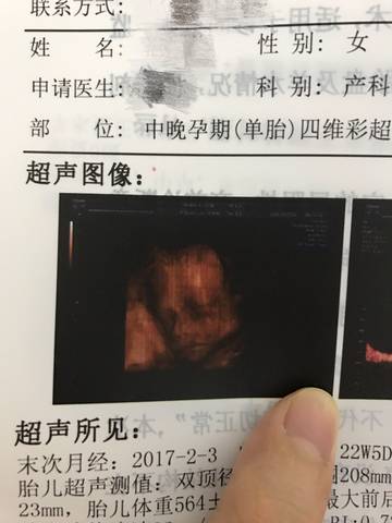 journal_insert_pic_868648219