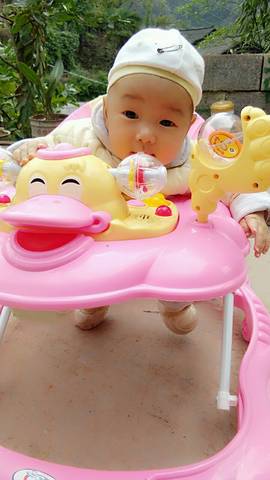 journal_insert_pic_869711281