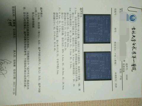 journal_insert_pic_871978678