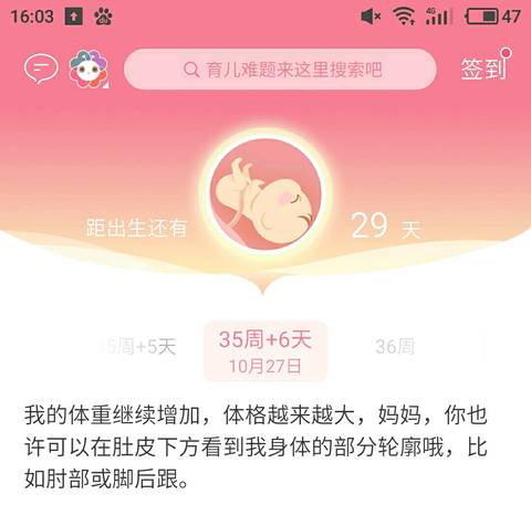 journal_insert_pic_871849118