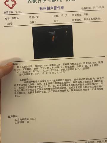 journal_insert_pic_873147781