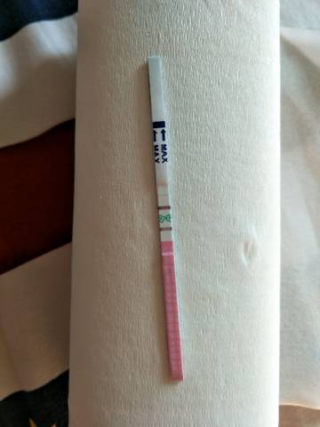 journal_insert_pic_873154473