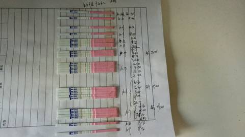 journal_insert_pic_873100574