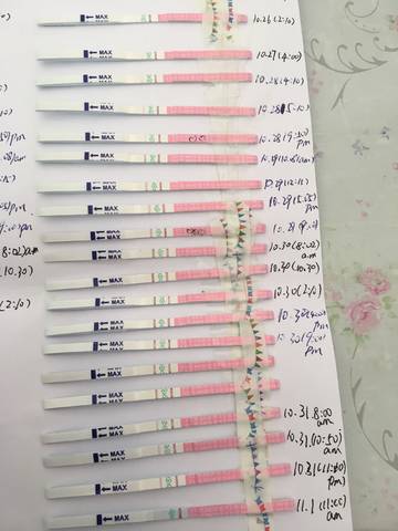 journal_insert_pic_874766085