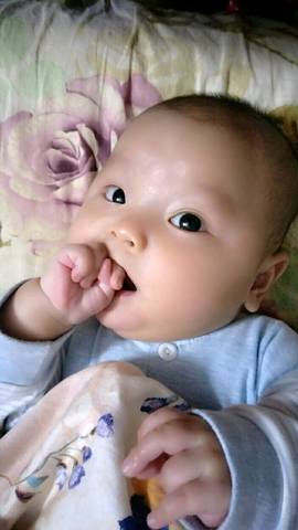 journal_insert_pic_875149431