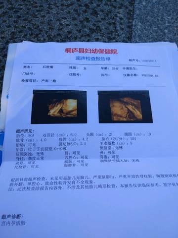 journal_insert_pic_874726514