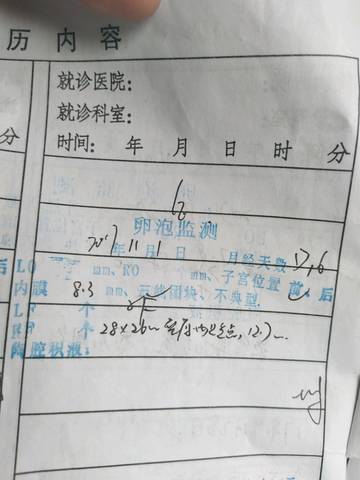 journal_insert_pic_874826544