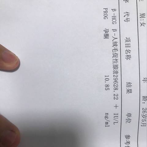 journal_insert_pic_875931920