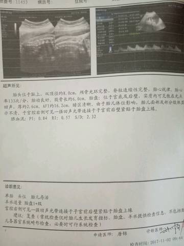 journal_insert_pic_875629856