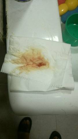 journal_insert_pic_875968912