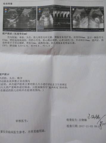 journal_insert_pic_876309252