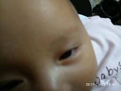 journal_insert_pic_876420584