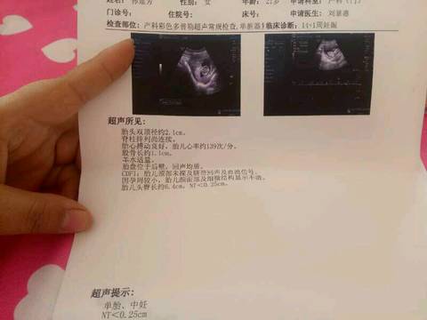 journal_insert_pic_876880293