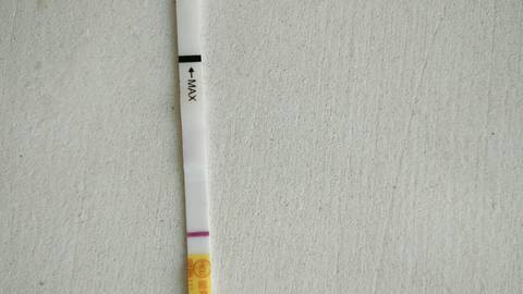 journal_insert_pic_878331045