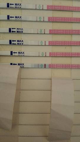 journal_insert_pic_878372400